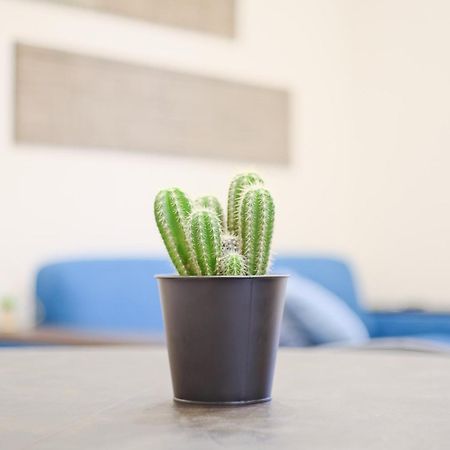Gabriele Boutique Apartment フィレンツェ エクステリア 写真
